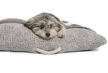 ベアフットドリームス barefoot dreams 犬用クッションロンハーマン BAREFOOT DREAMS for Ron Herman Pet Item Collection News｜Ron